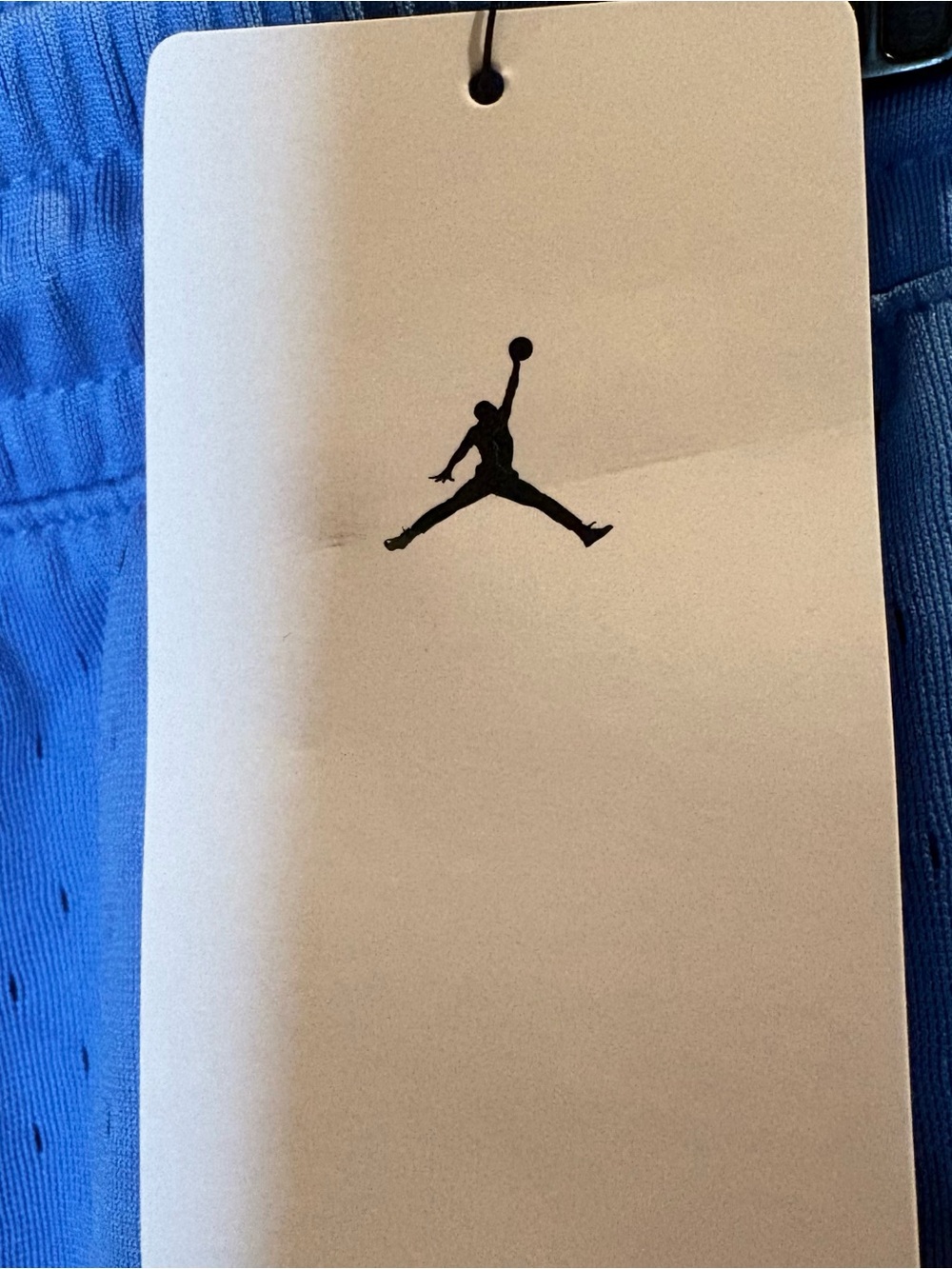 NWT Jordan Sky Blue Mesh Basketball Shorts with White Trim - Picture 6 of 7